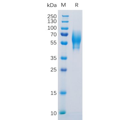 sp-pme100123 5t4 sp1