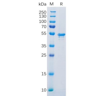 sp-pme100152 ca9 sp1