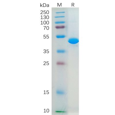 sp-pme100300 il2 sp1