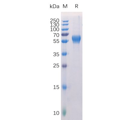 sp-pme100399 ror1 sp1