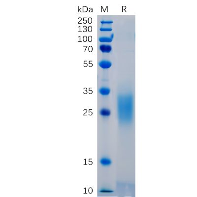 sp-pme100461 pd 1 sp1