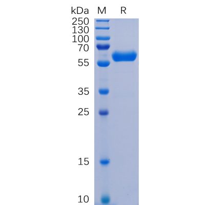 sp-pme100487 s rbd sp1