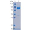 sp-pme100501 trop2 sp1