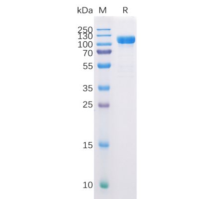 sp-pme100509 cd10 sp1