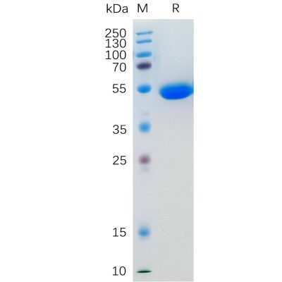 sp-pme100537 il5 sp1