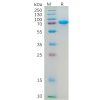 sp-pme100553 cd112 sp1