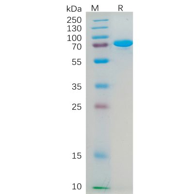 sp-pme100553 cd112 sp1