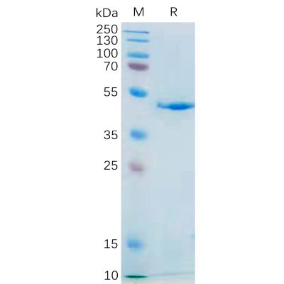 sp-pme100555 il21 sp1