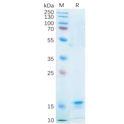 sp-pme100556 il21 sp1