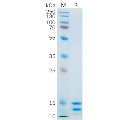 sp-pme100557 il2 sp1