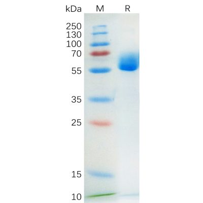sp-pme100563 scf sp1