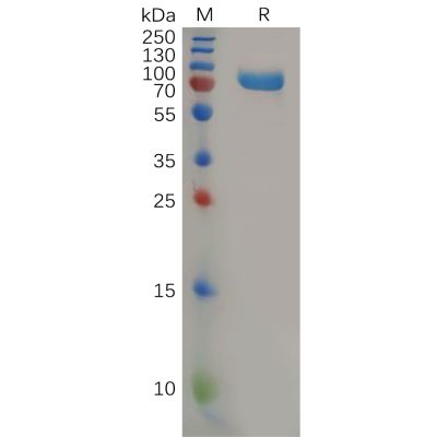 sp-pme100575 cd112 sp1