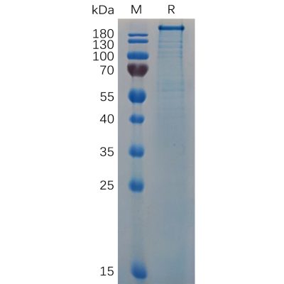 sp-pme100684 vwf sp1