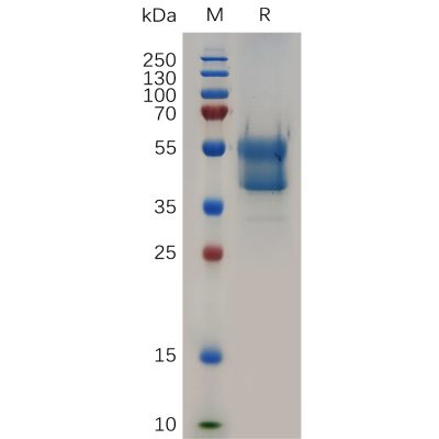 sp-pme100716 cd235a sp1