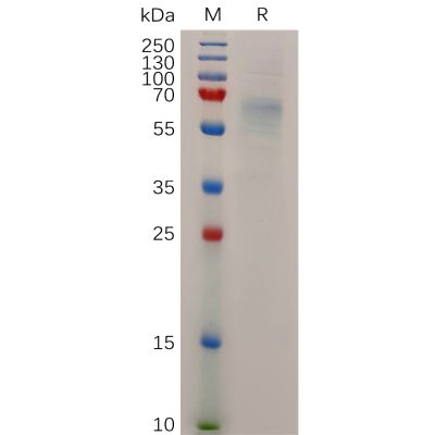 sp-pme100719 stab1 sp1