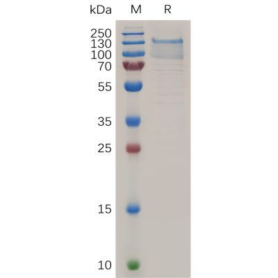 sp-pme100723 tem1 sp1