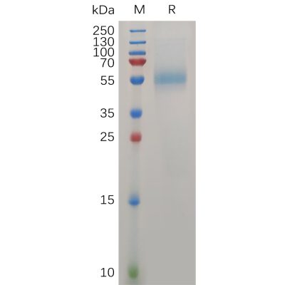 sp-pme100733 zp3 sp1