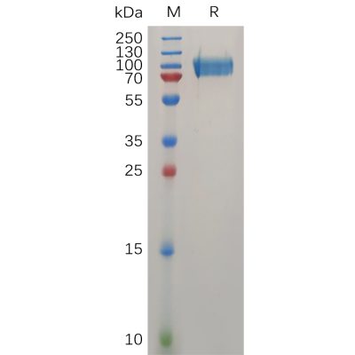 sp-pme100735 muc18 sp1