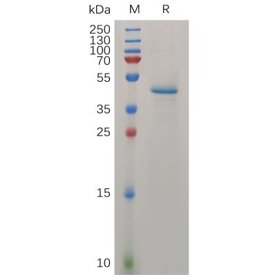 sp-pme100738 mdk sp1