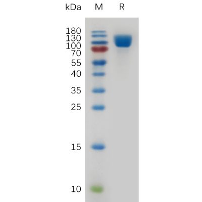 sp-pme100774 cd106 sp1