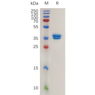 sp-pme100784 mcemp1 sp1