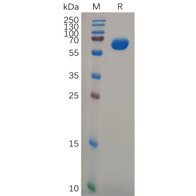 sp-pme100803 gpa33 sp1