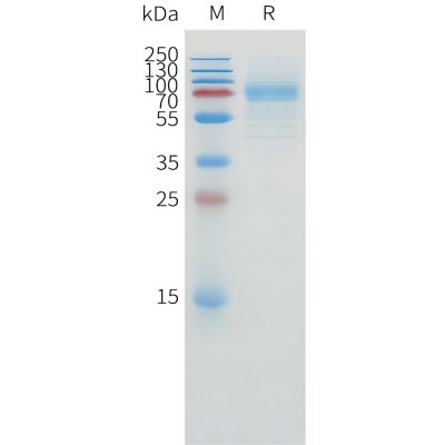 sp-pme100859 cd1a sp1