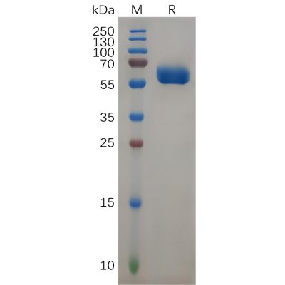 sp-pme100868 folr2 sp1