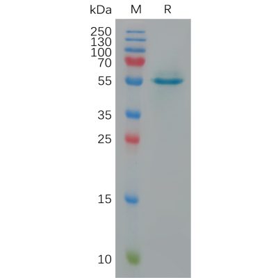 sp-pme100916 calr sp1