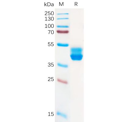 sp-pme100917 cb2 sp1