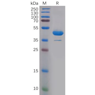 sp-pme101053 il1a sp1