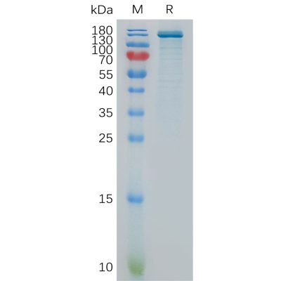 sp-pme101100 enpp3 sp1