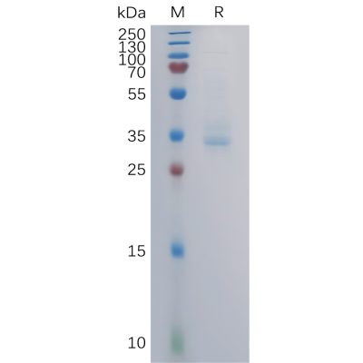 sp-pme101107 gprc5b sp1