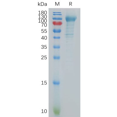 sp-pme101111 cdh6 sp1