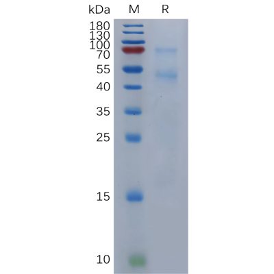 sp-pme101123 bmp6 sp1