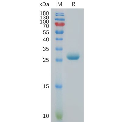 sp-pme101139 btn3a3 sp1