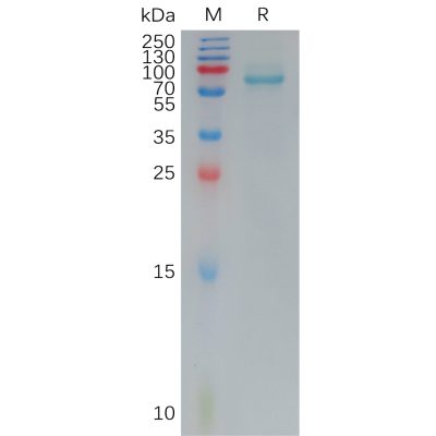 sp-pme101180 fzd7 sp1