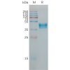 sp-pme101190 hcrtr1 sp1