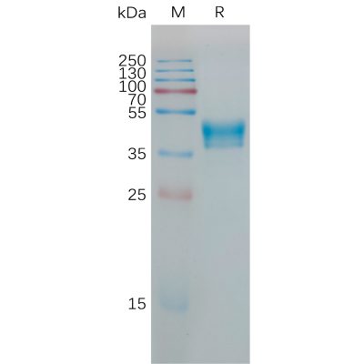 sp-pme101190 hcrtr1 sp1