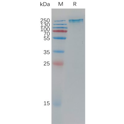 sp-pme101194 sez6 sp1