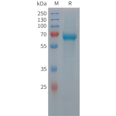 sp-pme101438 c9 sp1