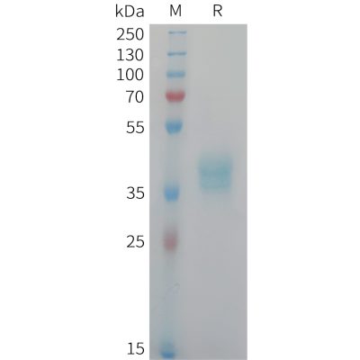 sp-pme101451 cadm3 sp1