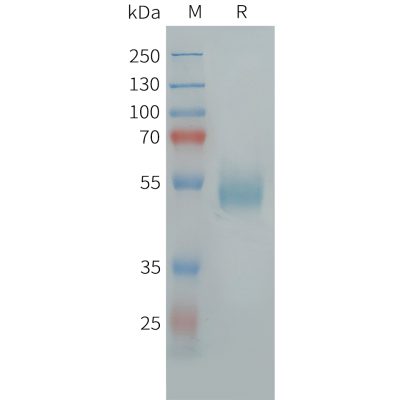 sp-pme101458 uts2r sp1