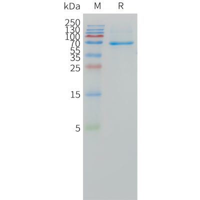 sp-pme101504 dll3 sp1 1