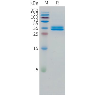 sp-pme101512 gpa33 sp1