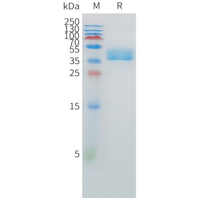 sp-pme101525 ednrb sp1