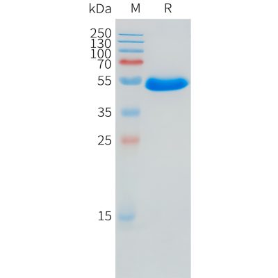 sp-pme101534 znrf3 sp1