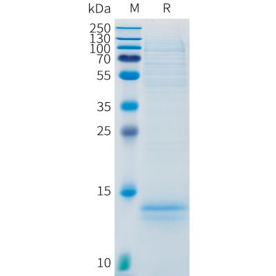 sp-pme101535 cd3e sp1