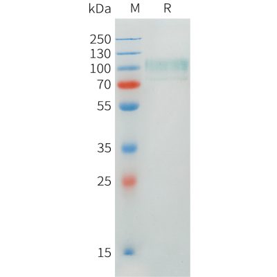 sp-pme101544 cadm1 sp1