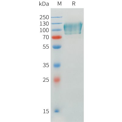 sp-pme101545 cadm1 sp1